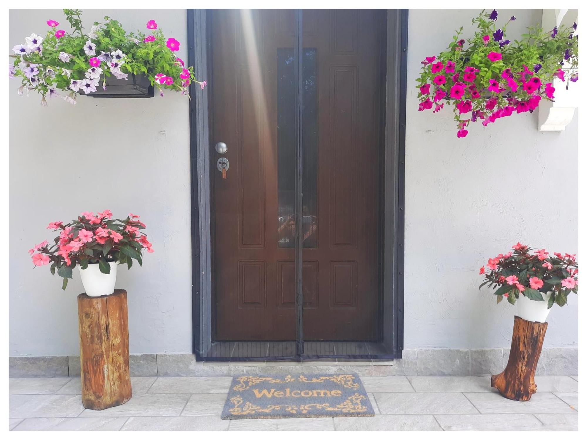 La Casina Bed & Breakfast Trecasali Exterior photo